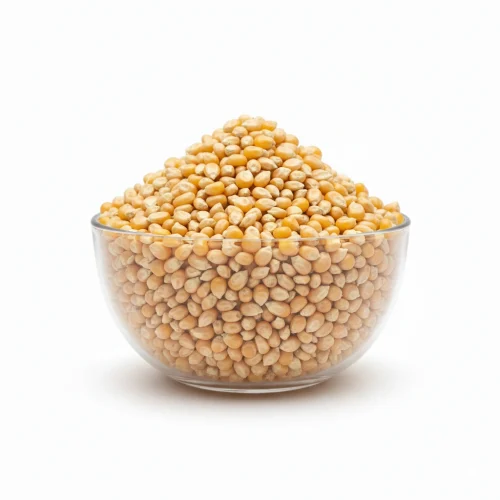 Porumb pentru popcorn