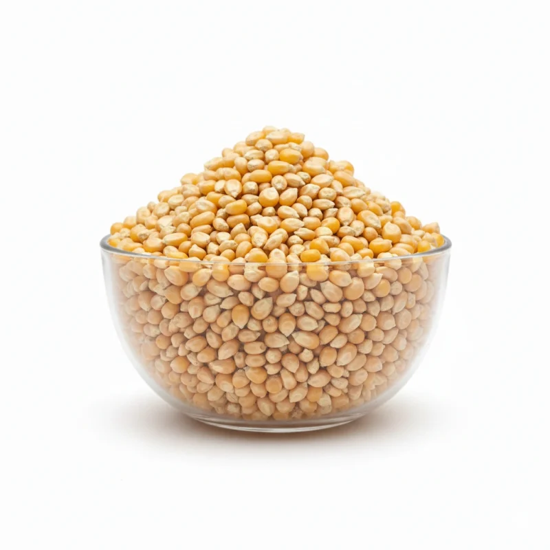 Porumb pentru popcorn